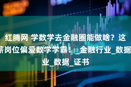 红腾网 学数学去金融圈能做啥？这些高薪岗位偏爱数学学霸！_金融行业_数据_证书